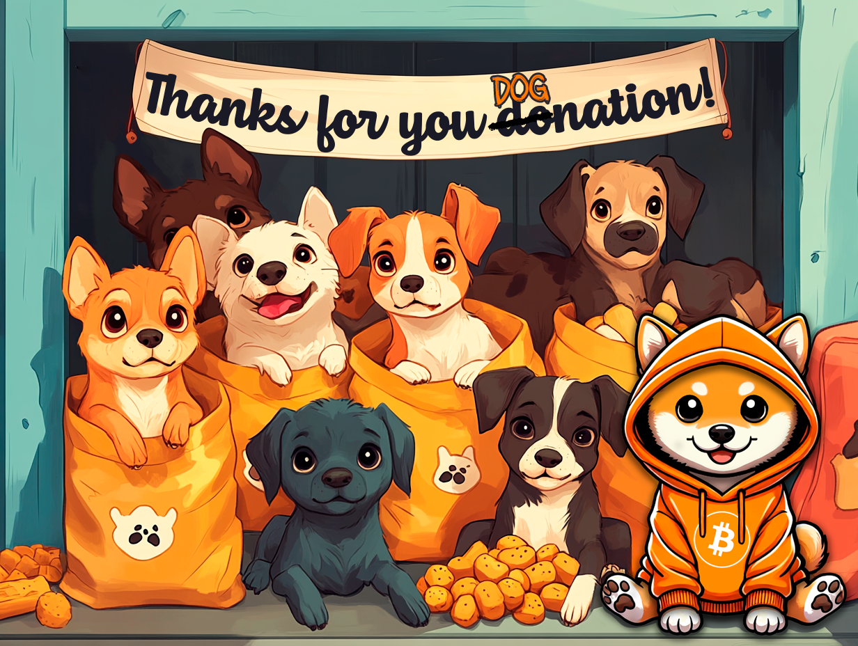 Dog_Shelter