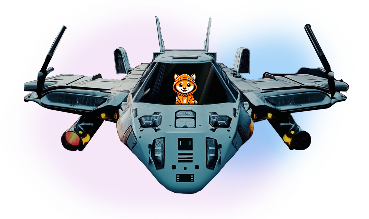 Raffle_Ship